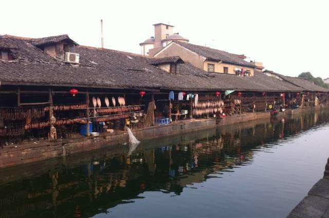 虫虫助手下载
